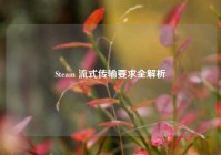 Steam 流式传输要求全解析