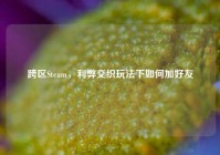 跨区Steam，利弊交织玩法下如何加好友