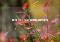 揭开 CSGO 70731 神秘世界的面纱