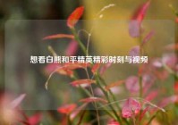 想看白熊和平精英精彩时刻与视频