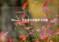 玛Steam，开启多元创意学习之旅