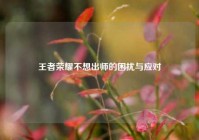 王者荣耀不想出师的困扰与应对