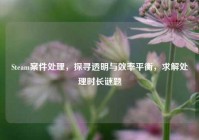 Steam案件处理，探寻透明与效率平衡，求解处理时长谜题
