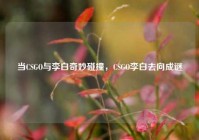 当CSGO与李白奇妙碰撞，CSGO李白去向成谜