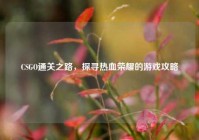 CSGO通关之路，探寻热血荣耀的游戏攻略
