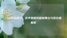 CSGO背包格子，战术策略的隐秘舞台与背包键解析