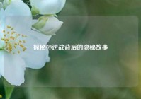 探秘孙逆战背后的隐秘故事