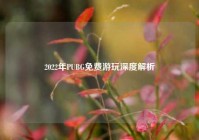 2022年PUBG免费游玩深度解析