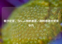 爱沙尼亚，与Steam奇妙邂逅，同时感谢并赞赏中方