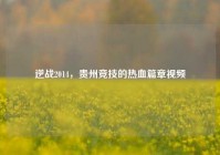 逆战2014，贵州竞技的热血篇章视频