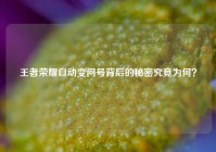王者荣耀自动变问号背后的秘密究竟为何？