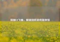 探秘CF飞柚，解锁别样游戏新体验