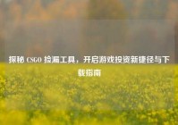 探秘 CSGO 捡漏工具，开启游戏投资新捷径与下载指南