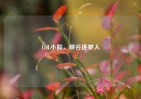 LOL小毅，峡谷逐梦人