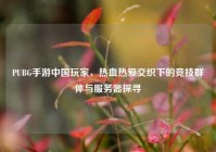 PUBG手游中国玩家，热血热爱交织下的竞技群体与服务器探寻