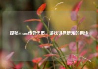 探秘Steam传奇代币，游戏世界新宠的用途