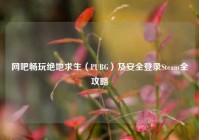 网吧畅玩绝地求生（PUBG）及安全登录Steam全攻略