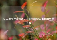 Steam太空生存游戏，开启探索宇宙未知的生存之旅