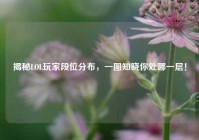 揭秘LOL玩家段位分布，一图知晓你处哪一层！