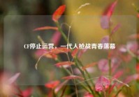 CF停止运营，一代人枪战青春落幕