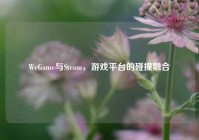 WeGame与Steam，游戏平台的碰撞融合