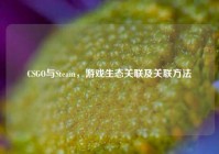 CSGO与Steam，游戏生态关联及关联方法
