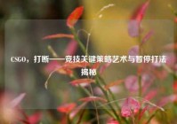 CSGO，打断——竞技关键策略艺术与暂停打法揭秘