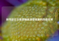 探寻赵云王者荣耀高清壁纸里的热血世界