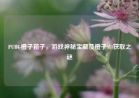 PUBG橙子箱子，游戏神秘宝藏及橙子M4获取之谜
