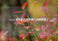 Steam 游戏能否用手柄？全解析来了