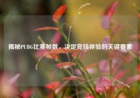 揭秘PUBG比赛帧数，决定竞技体验的关键要素
