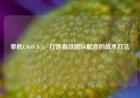 单机CSGO 3v3，打造高效团队配合的战术打法