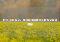 PUBG 皮肤购买，开启别样游戏风采及购买渠道揭秘