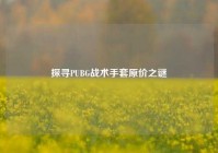 探寻PUBG战术手套原价之谜