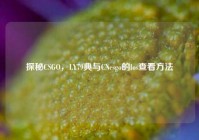 探秘CSGO，LY79典与CNcsgo的los查看方法