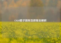 CSGO喷子简称及教程全解析