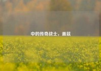 中的传奇战士，盖兹