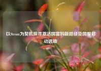 以Steam为契机探寻激活国富的新路径及国服启动选项