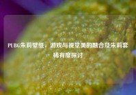 PUBG朱莉壁纸，游戏与视觉美的融合及朱莉套稀有度探讨