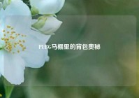 PUBG马棚里的背包奥秘