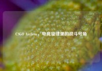 CSGO Anthem，电竞旋律里的战斗号角