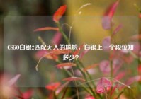 CSGO白银2匹配无人的尴尬，白银上一个段位知多少？