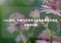 PUBG游戏，手腕与手臂发力部位解析及手腕流灵敏度设置