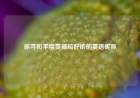 探寻和平精英简短好听的英语昵称