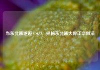 当东北酱邂逅 CSGO，探秘东北酱大骨正宗做法
