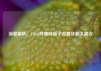 深度解析，CSGO开哪种箱子合算及相关建议