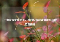 王者荣耀优化助手，开启极致游戏体验与获取位置揭秘