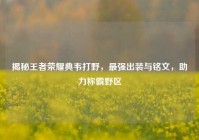 揭秘王者荣耀典韦打野，最强出装与铭文，助力称霸野区