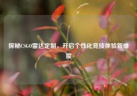探秘CSGO雷达定制，开启个性化竞技体验新维度