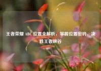 王者荣耀 ABC 位置全解析，掌握位置密码，决胜王者峡谷